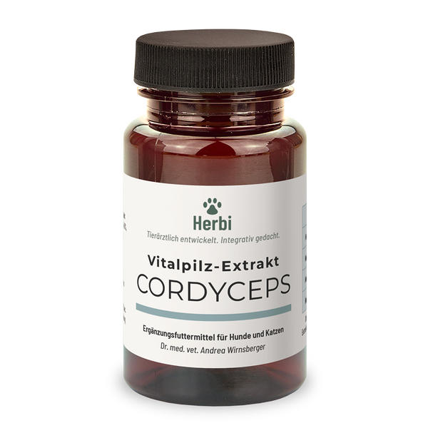 CORDYCEPS Vitalpilzextrakt