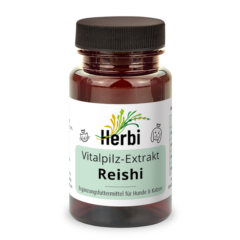 REISHI Vitalpilzextrakt