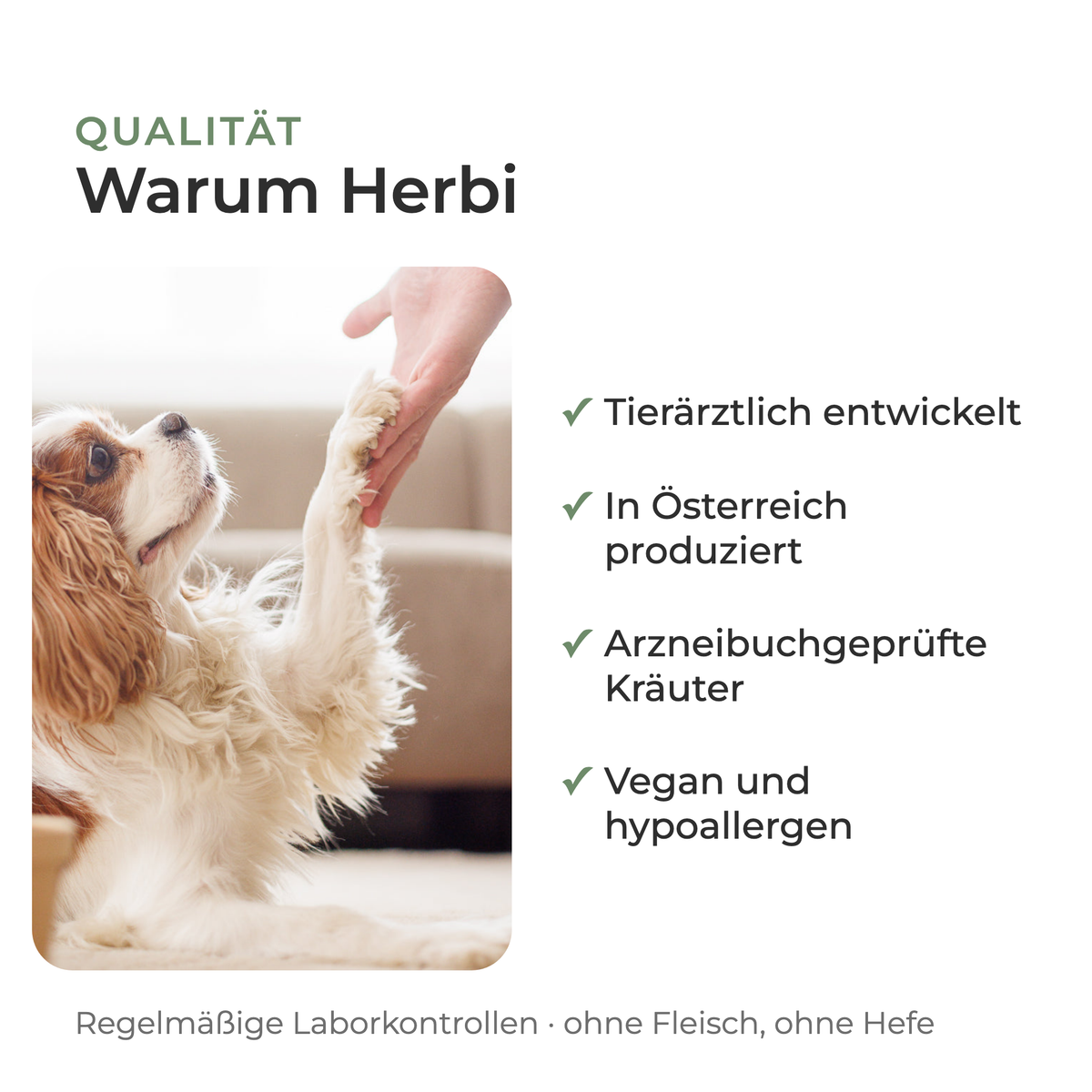 Kräutermischung ATEMWEGE: Warum Herbi, tierärztlich entwickelt