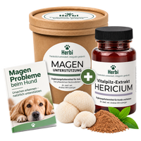 Magenbalance-Set