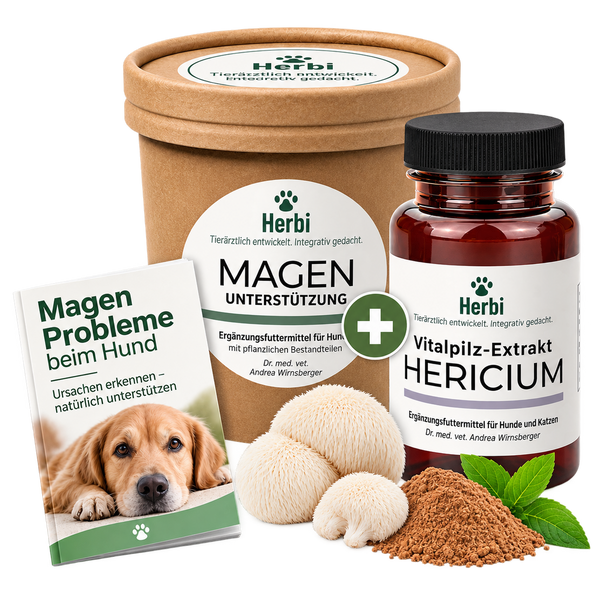 Magenbalance-Set