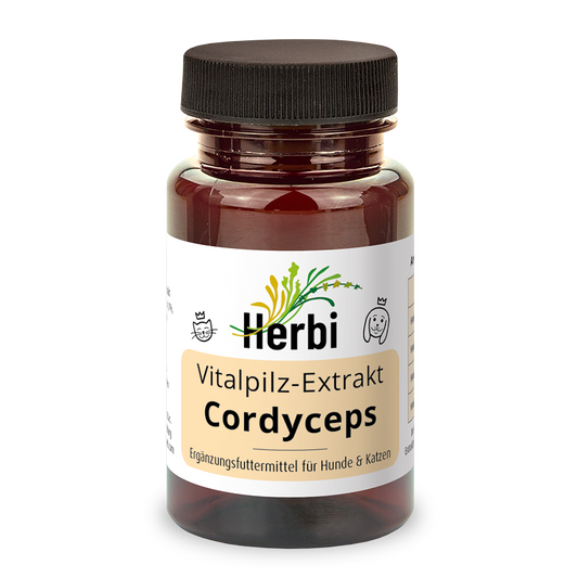 CORDYCEPS Vitalpilzextrakt
