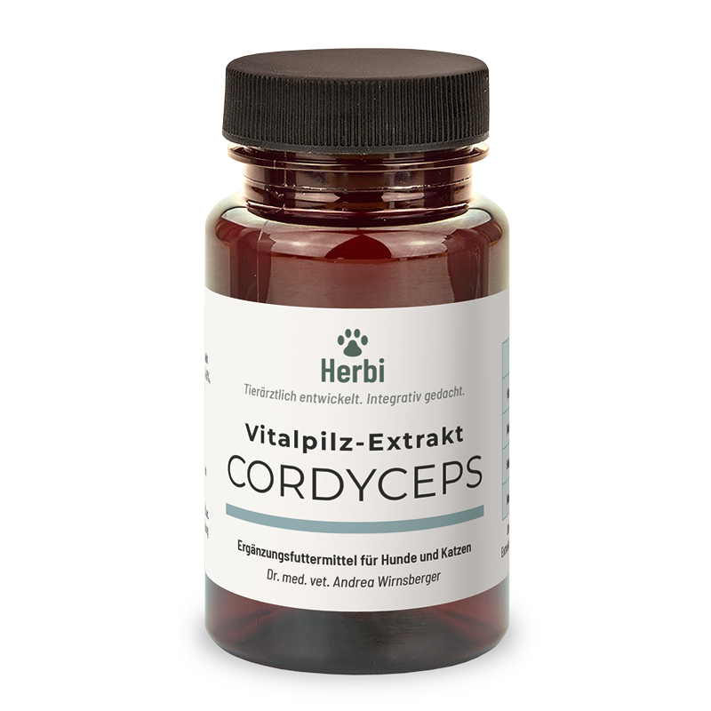CORDYCEPS Vitalpilzextrakt