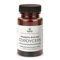 CORDYCEPS Vitalpilzextrakt