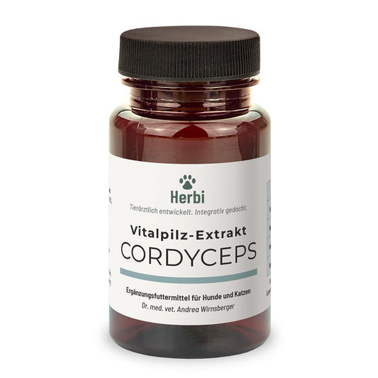 CORDYCEPS Vitalpilzextrakt