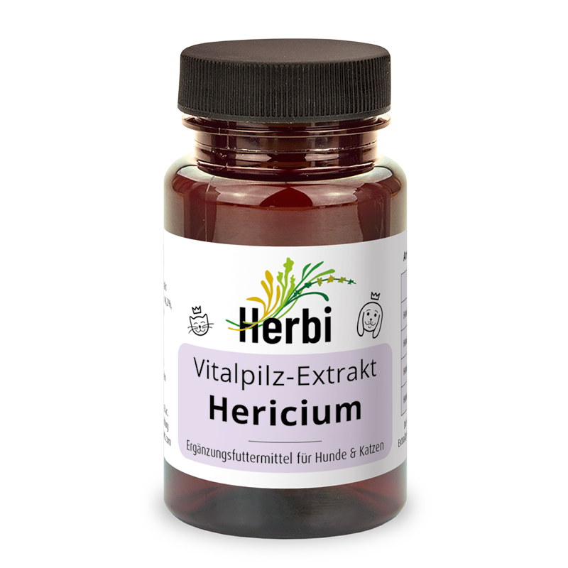 HERICIUM Vitalpilzextrakt