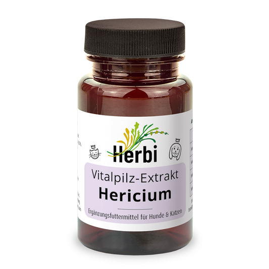 HERICIUM Vitalpilzextrakt