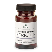 HERICIUM Vitalpilzextrakt