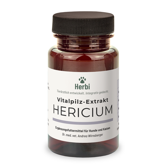 HERICIUM Vitalpilzextrakt