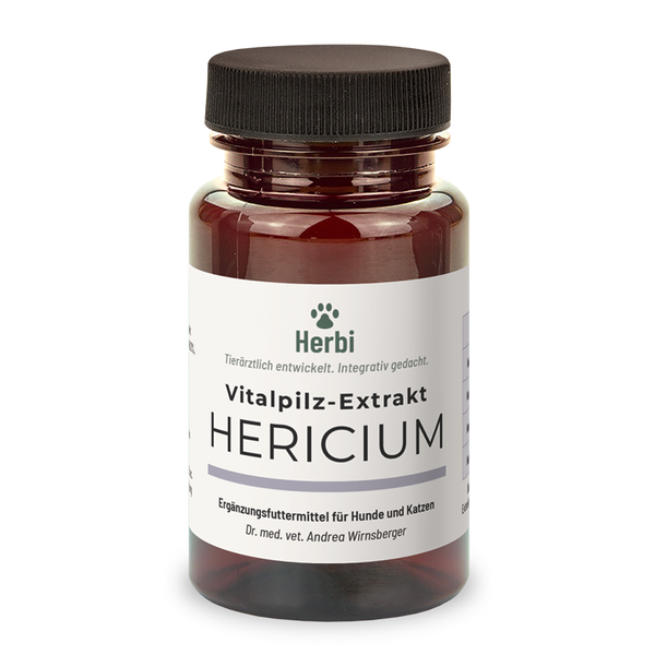 HERICIUM Vitalpilzextrakt