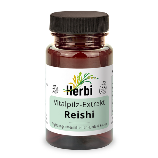 REISHI Vitalpilzextrakt