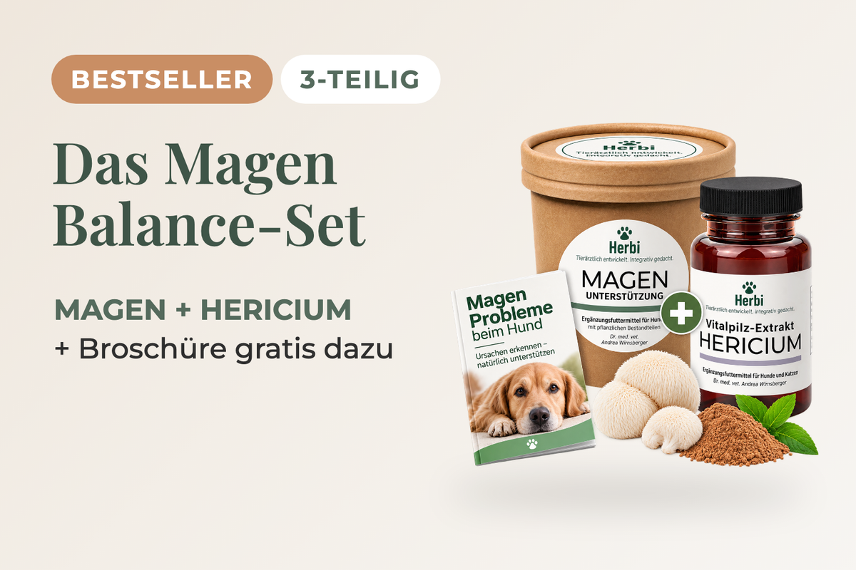 Bestseller: MAGENBALANCE-SET mit MAGEN und HERICIUM