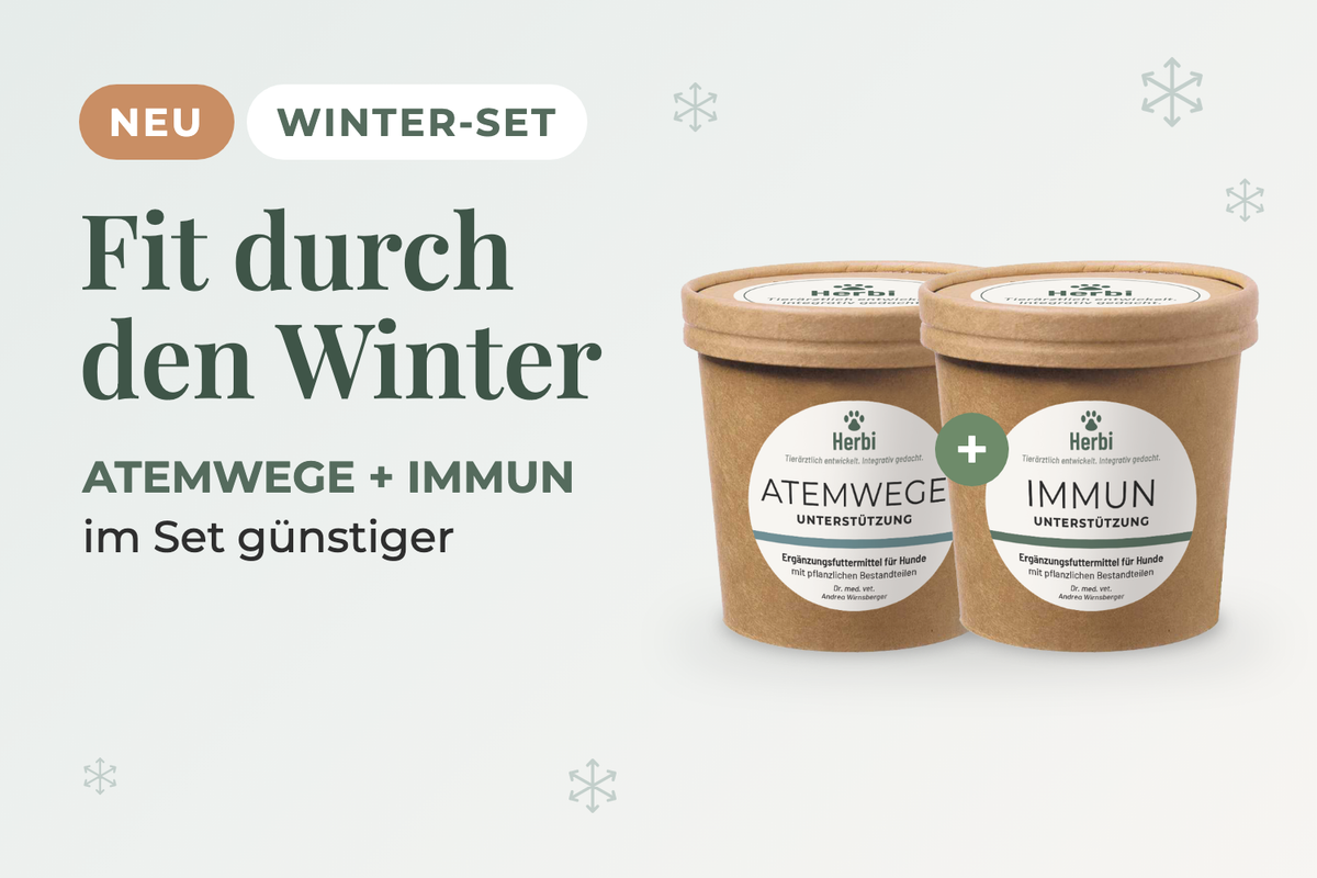 Neu: FIT DURCH DEN WINTER-SET mit ATEMWEGE und IMMUN