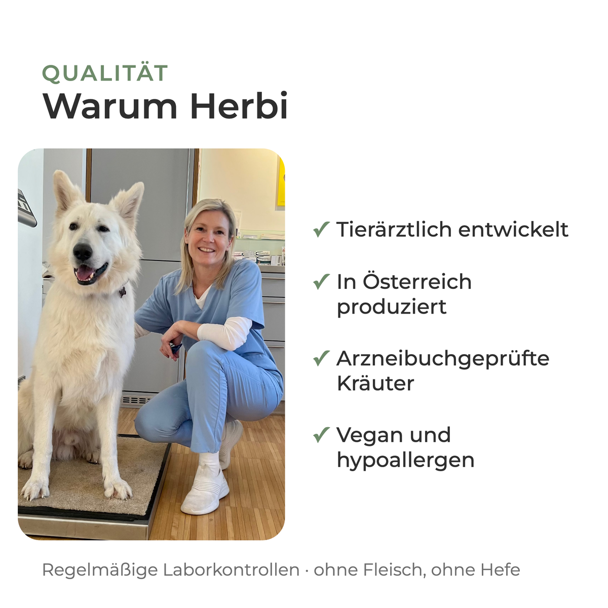 Kräutermischung MAGEN: Warum Herbi, tierärztlich entwickelt