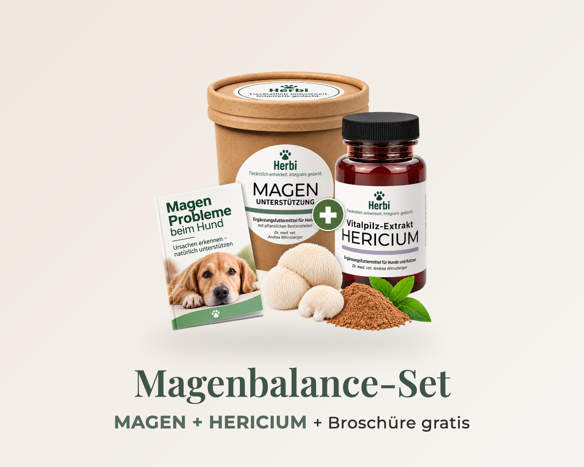 MAGENBALANCE-SET