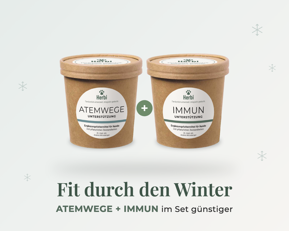 FIT DURCH DEN WINTER-SET