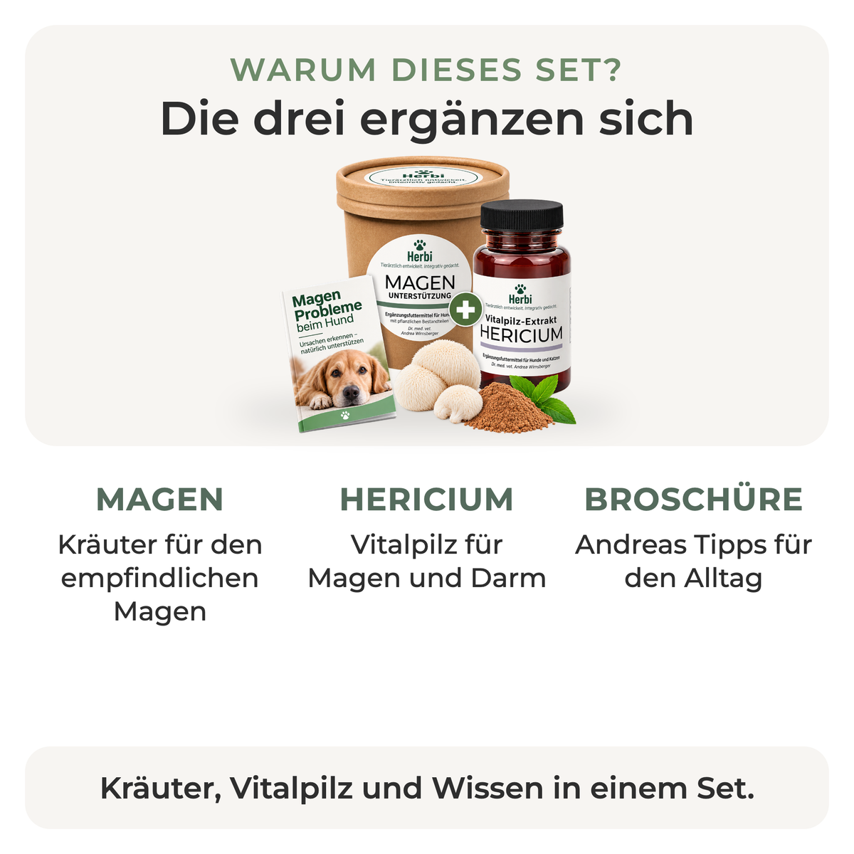 Warum das Magenbalance-Set: MAGEN, HERICIUM und Broschüre ergänzen sich