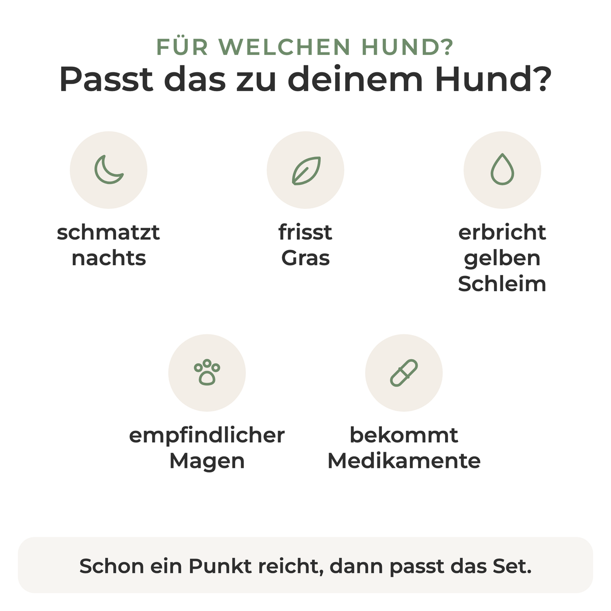 Passt das Magenbalance-Set zu deinem Hund? Schmatzt nachts, frisst Gras, erbricht gelben Schleim