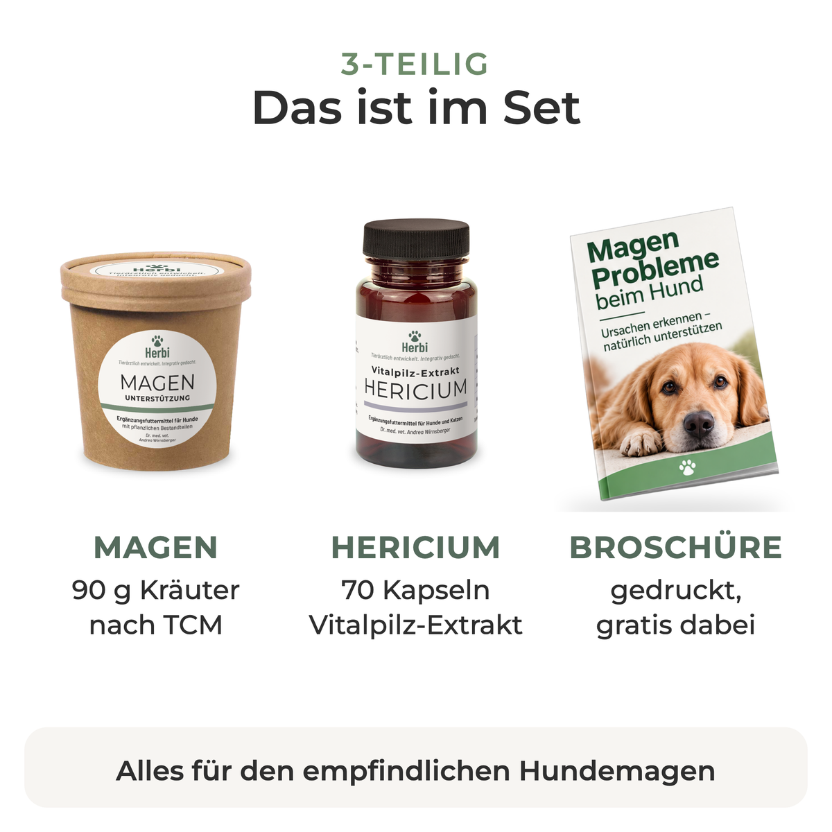 Das ist im Magenbalance-Set: MAGEN, HERICIUM und Broschüre