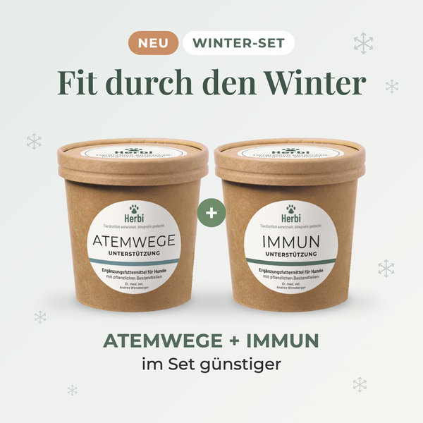 FIT DURCH DEN WINTER-SET
